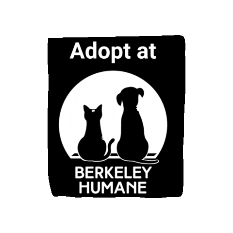 Adoptdontshop Sticker by Berkeley Humane