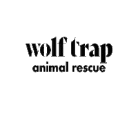 wolftrapanimalrescue cats dogs pets puppies Sticker