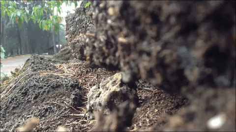 Art Video GIF by jorgemariozuleta