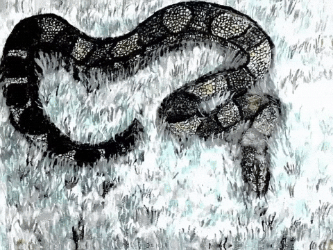 Slither Harry Potter GIF by The LSD Hotel