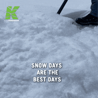 Snow Day GIF by Kujo Yardwear
