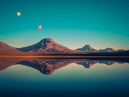 You Can Wow GIF by FranchiseONE.de