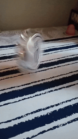 fechata giphyupload GIF