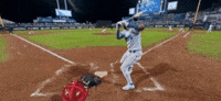 야구 GIF