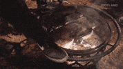 GIF by FLOPHOUSE