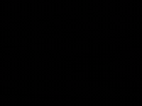 Season 2 Episode 22 GIF by Twin Peaks on Showtime
