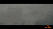 Crawdads Movie GIF by Regal
