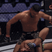 India Ufc GIF