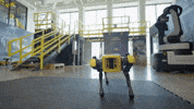 Robot Spot GIF by BostonDynamics