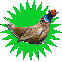 PostoRistoro mangiapostoristoro cucinacuriosa leragazzedipostoristoro postoristoro Sticker
