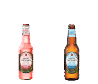 apple cider drinking Sticker by Angry Orchard