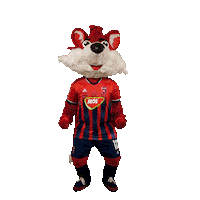 molfehervarfcgif fox roka vidi szekesfehervar Sticker