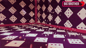 Bbau GIF by Big Brother Australia