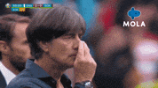Germany Football GIF by MolaTV