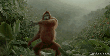 Ape Monkey Smile GIF