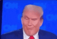 Donald Trump GIF