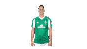 Niklas Moisander Bundesliga Sticker by SV Werder Bremen