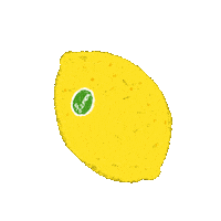 piccola_erin lemon erincunningham studiopiccola Sticker