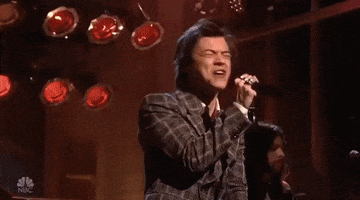 harry styles GIF by Saturday Night Live