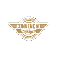 Aviao Agora Sticker by Copagril