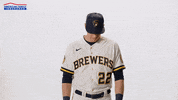 Youre Out Milwaukee Brewers GIF by American Family Insurance