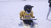 beach pounce GIF by UW-Milwaukee