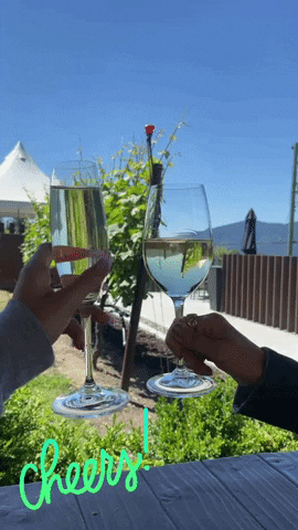 Girls Night Out Cheers GIF by Crystal Hills Organics