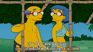 Season 19 Episode 6 GIF by The Simpsons