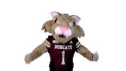Boko Sticker by Texas State University