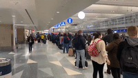 Passengers Wait in Long Lines at Minneapolis Airport Amid Mass Flight Cancellations