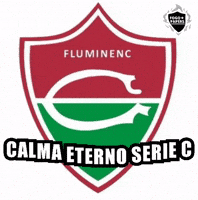 Serie C Flu GIF