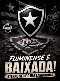 Serie C Flu GIF