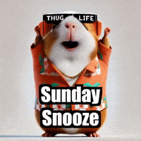 Sleepy Morning GIF by Guinea Gambino