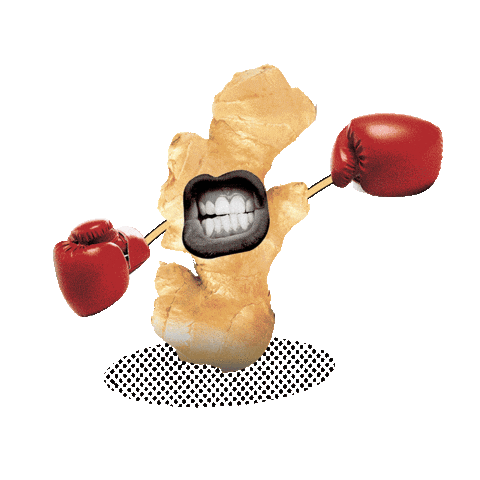 GoodEarthAU giphyupload tea fruit teapot Sticker