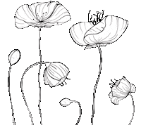Flowers Sticker by Hotell Mossbylund