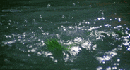 CasserolePentagram meme water ocean pool GIF