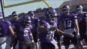 Go Wildcats GIF by ACU Football