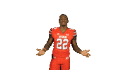 Utah Utes Sticker by Utah Football