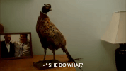 comedy central season 3 episode 17 GIF by Workaholics
