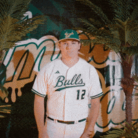South Florida Baseball GIF by USF Athletics