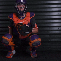 Clemsonsoftball GIF by Clemson Tigers