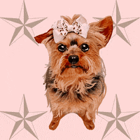 Texaswoofpack GIF