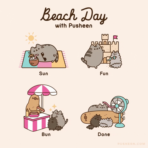 starturtle87 giphyupload cat fun beach GIF