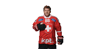 Celebrate Swiss National Team Sticker by Swiss Ice Hockey