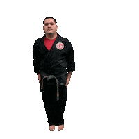 Karate Taekwondo Sticker by Team GMA