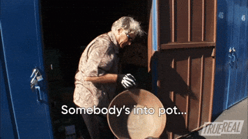 Somebody's Into Pot