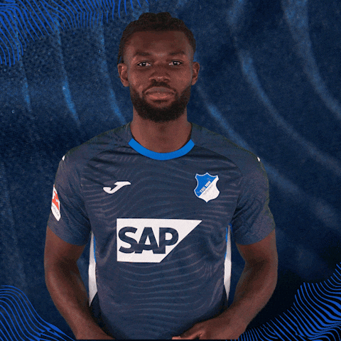 Sport Bundesliga GIF by TSG Hoffenheim