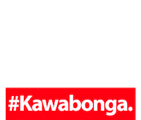 Kawabonga-Party party hiphop trap reggaeton Sticker