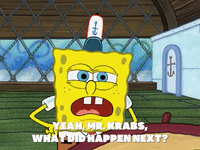 season 5 GIF by SpongeBob SquarePants