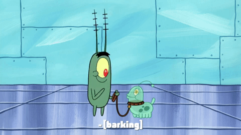 season 9 safe deposit krabs GIF by SpongeBob SquarePants